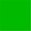 Tru-Ray Tru-Ray 100 Pecent Acid-Free Non-Toxic Construction Paper - 9 x 12 in. - Holiday Green; Pack 50 216777